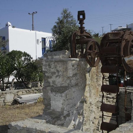 Vienoula'S Garden Hotel Mykonos Town Eksteriør bilde