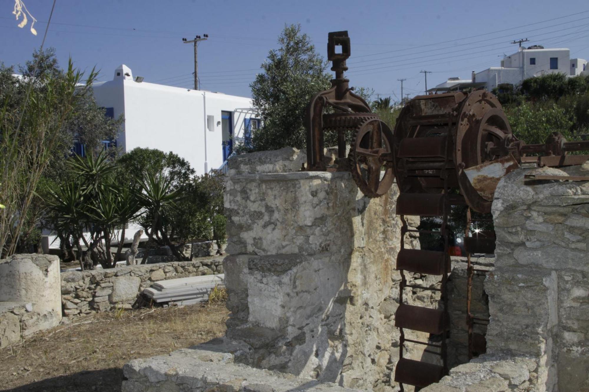 Vienoula'S Garden Hotel Mykonos Town Eksteriør bilde